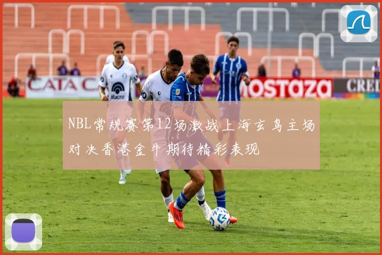 NBL常规赛第12场激战上海玄鸟主场对决香港金牛期待精彩表现